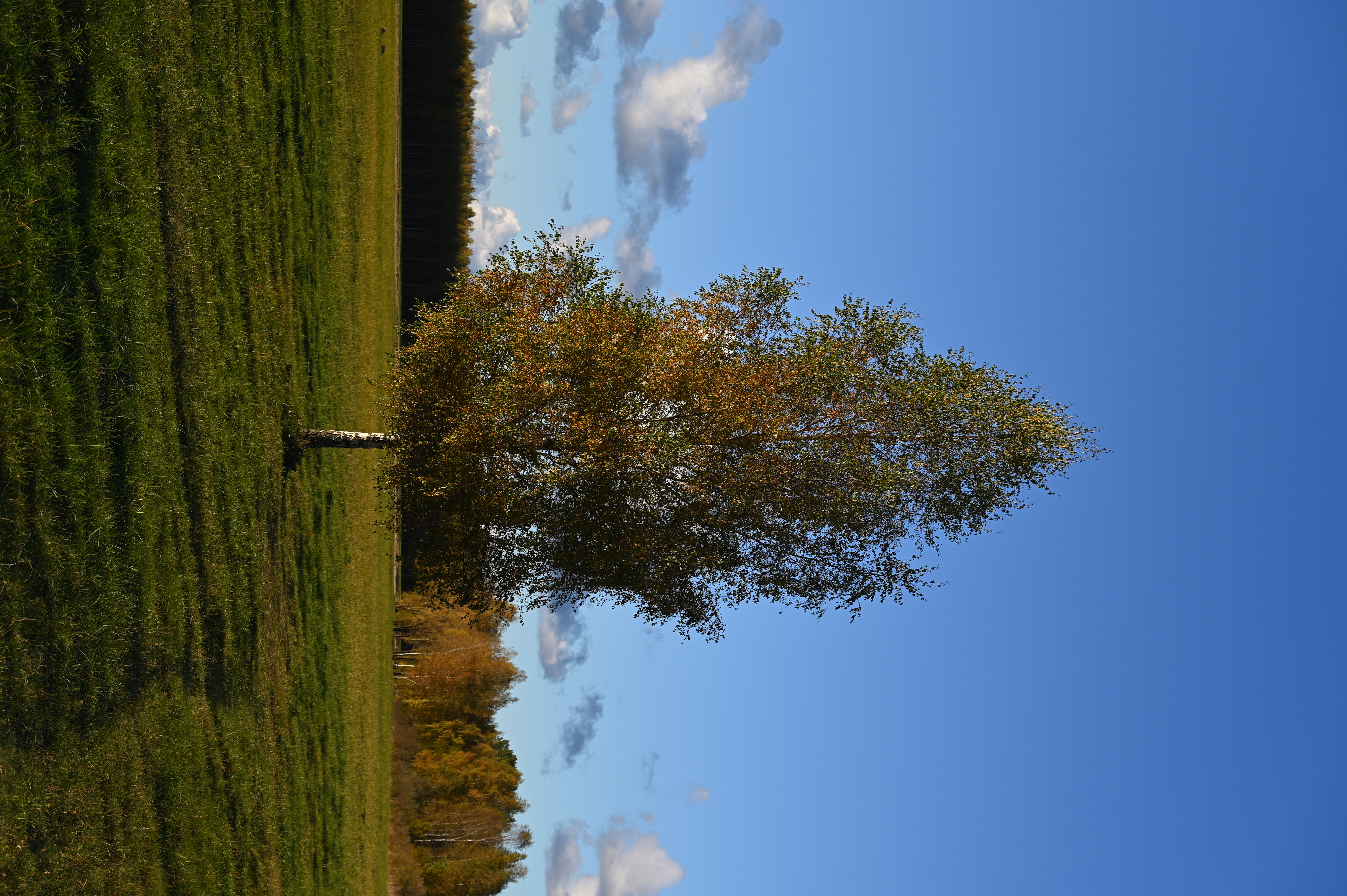 2025/10/18 - walk/DSC_0152.JPG